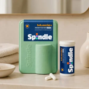 Spindle Muscle +