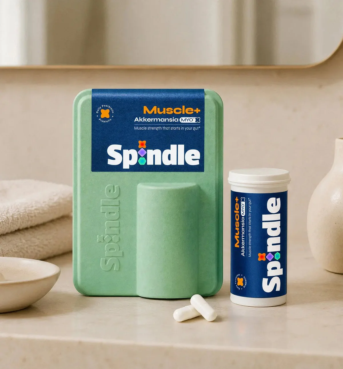 Spindle Muscle +