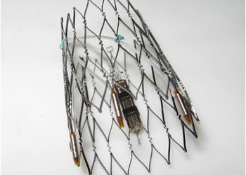 Researchers at Leonhardt Ventures Unveil E-Stent™ A Breakthrough Bioelectric Stimulation Stent Tech Platform